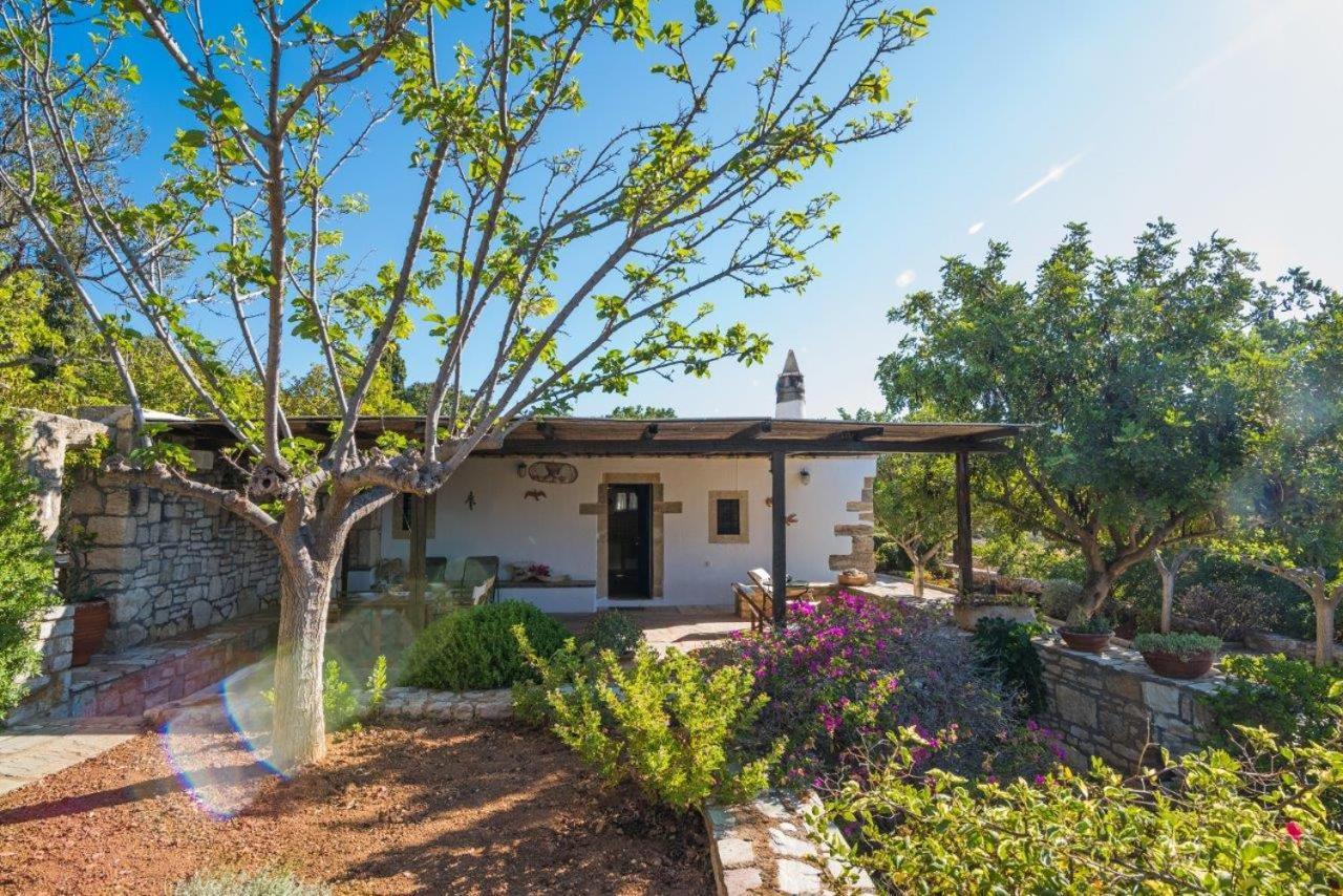 Villa Venus 埃弗勒莫纳斯 外观 照片
