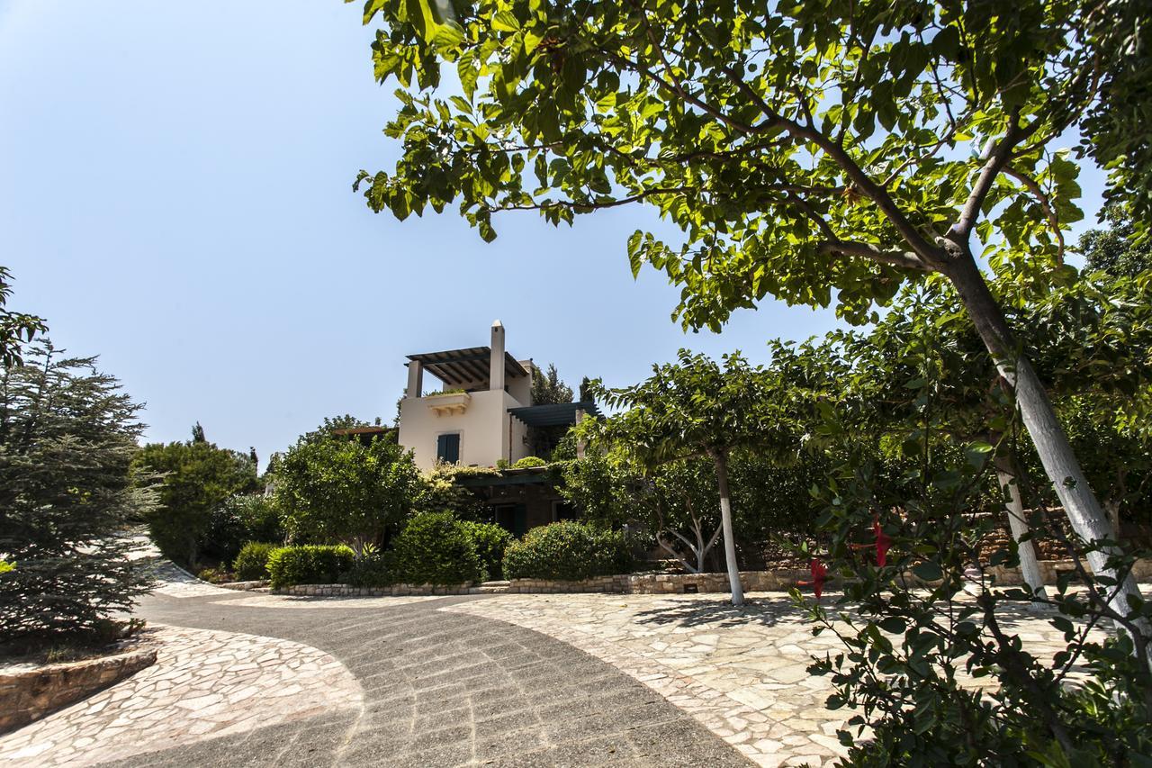 Villa Venus 埃弗勒莫纳斯 外观 照片